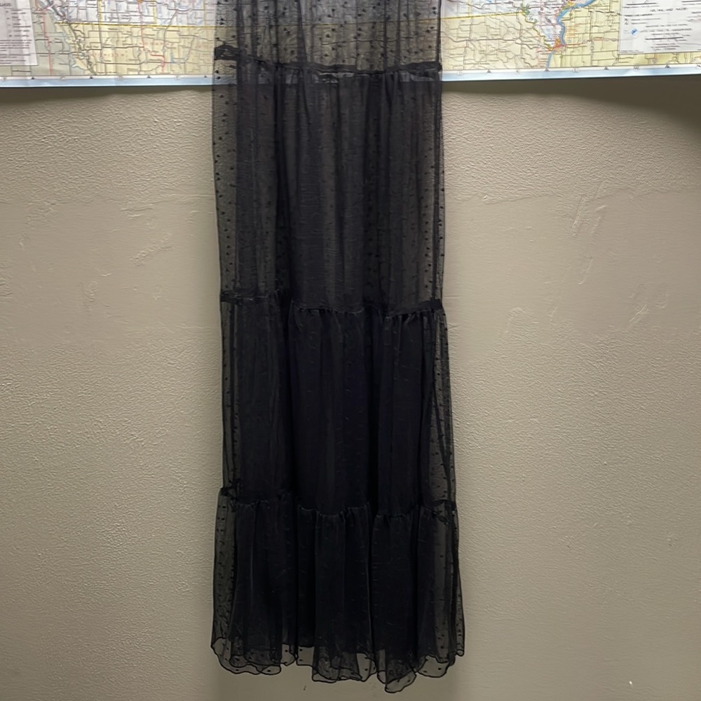 Hot Topic vintage Mesh Maxi Dress - Picture 4 of 10